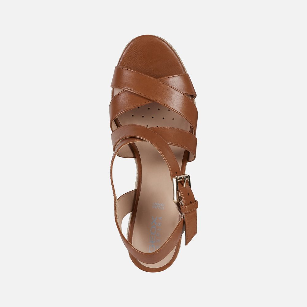 Sandales Geox Ponza - Marron - Femme 824637-QEF